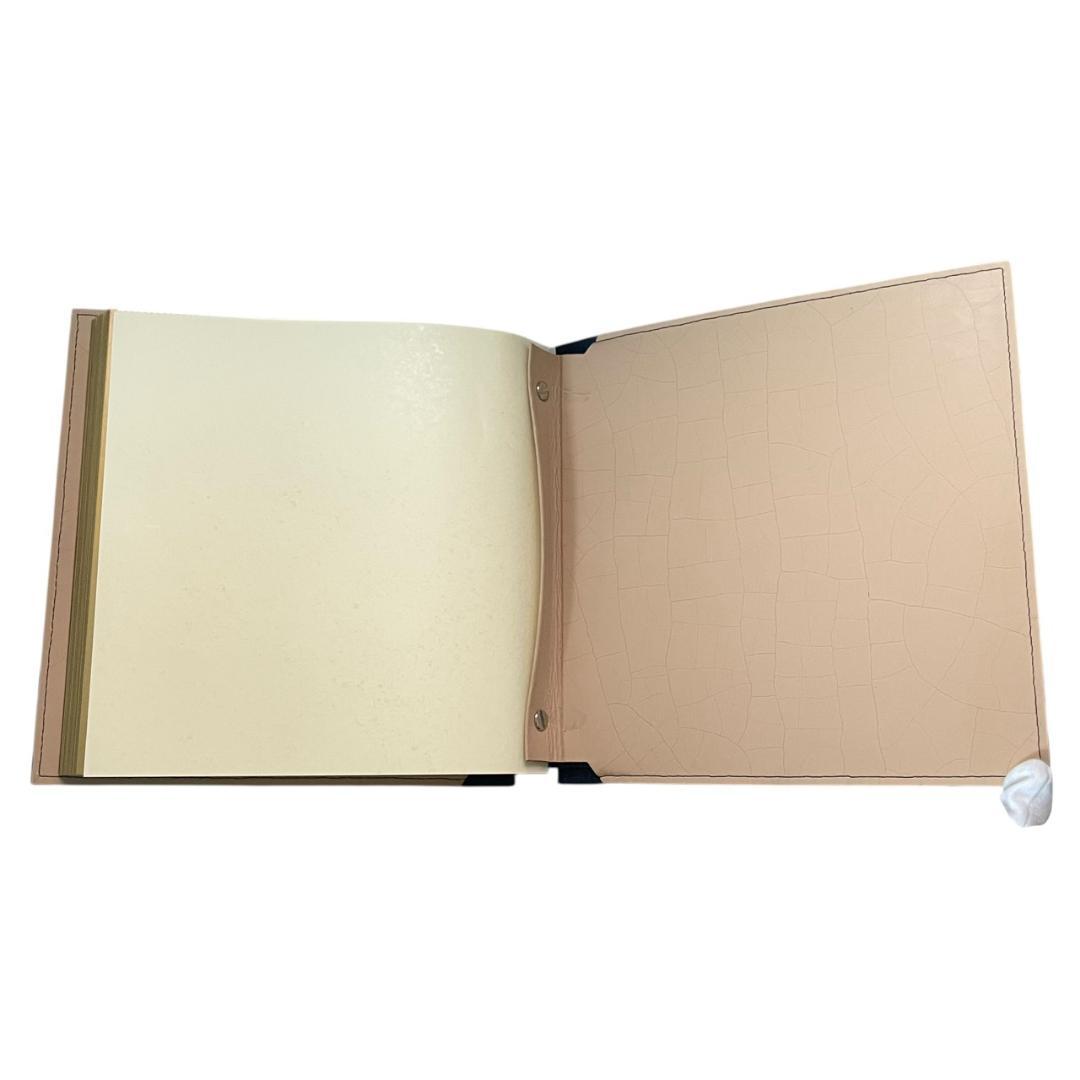 【新品 激レア】 ヴァレクストラ SATO コラボ フォトアルバム ネイビー