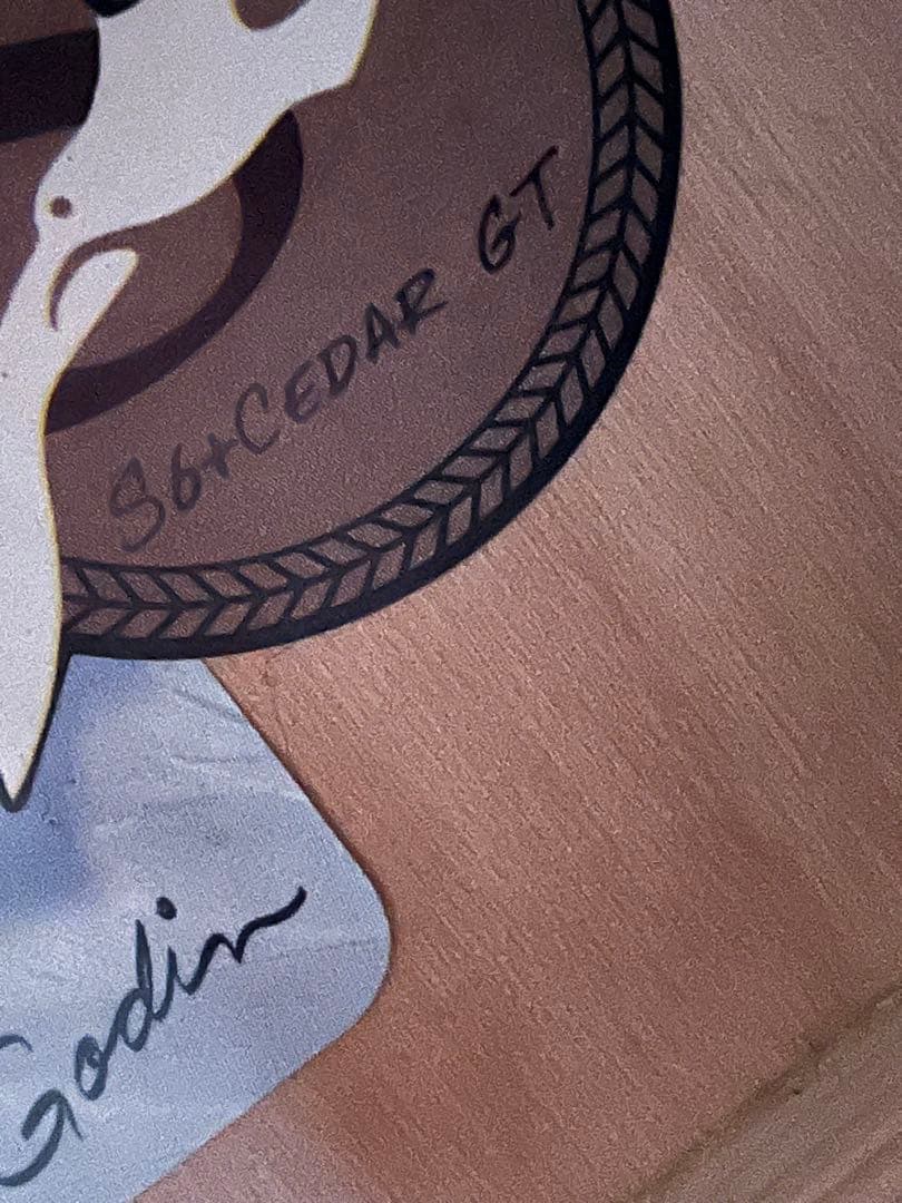 Seagull S6 + Cedar GT アコースティックギター