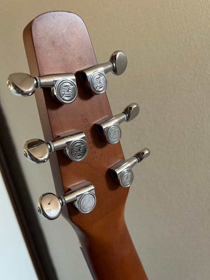 Seagull S6 + Cedar GT アコースティックギター