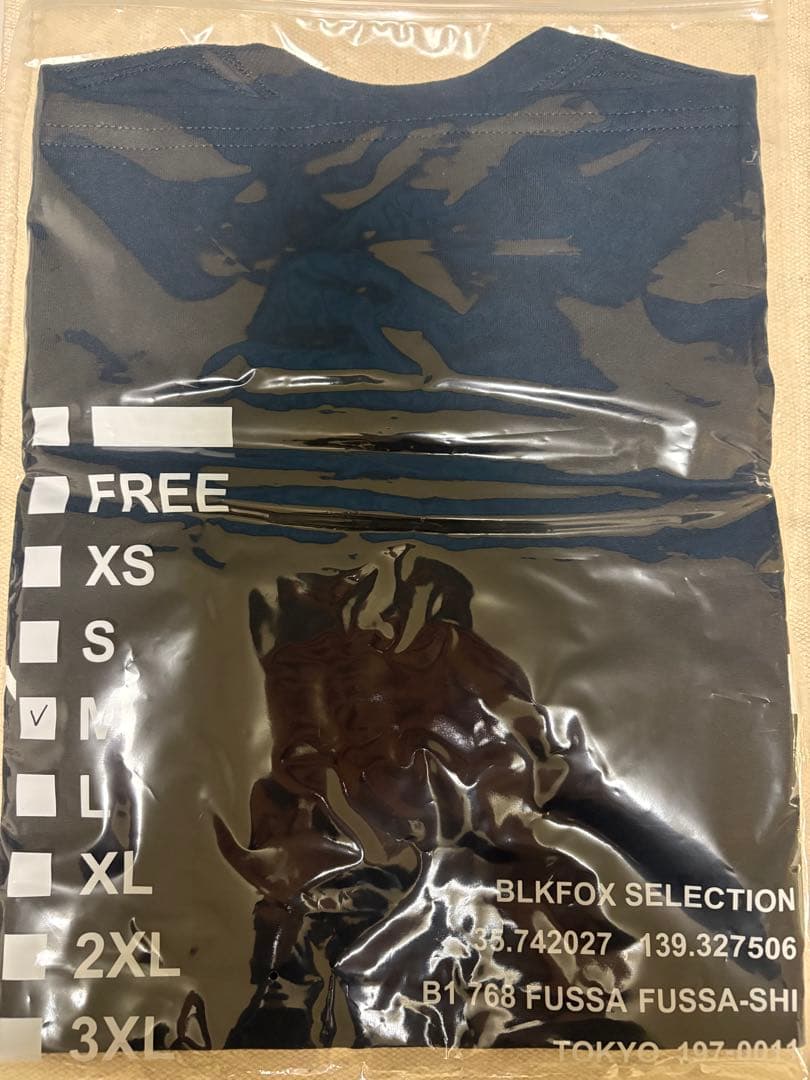 BLKFOX T-Shirt-01／BLACK × LUMINOUS (蓄光