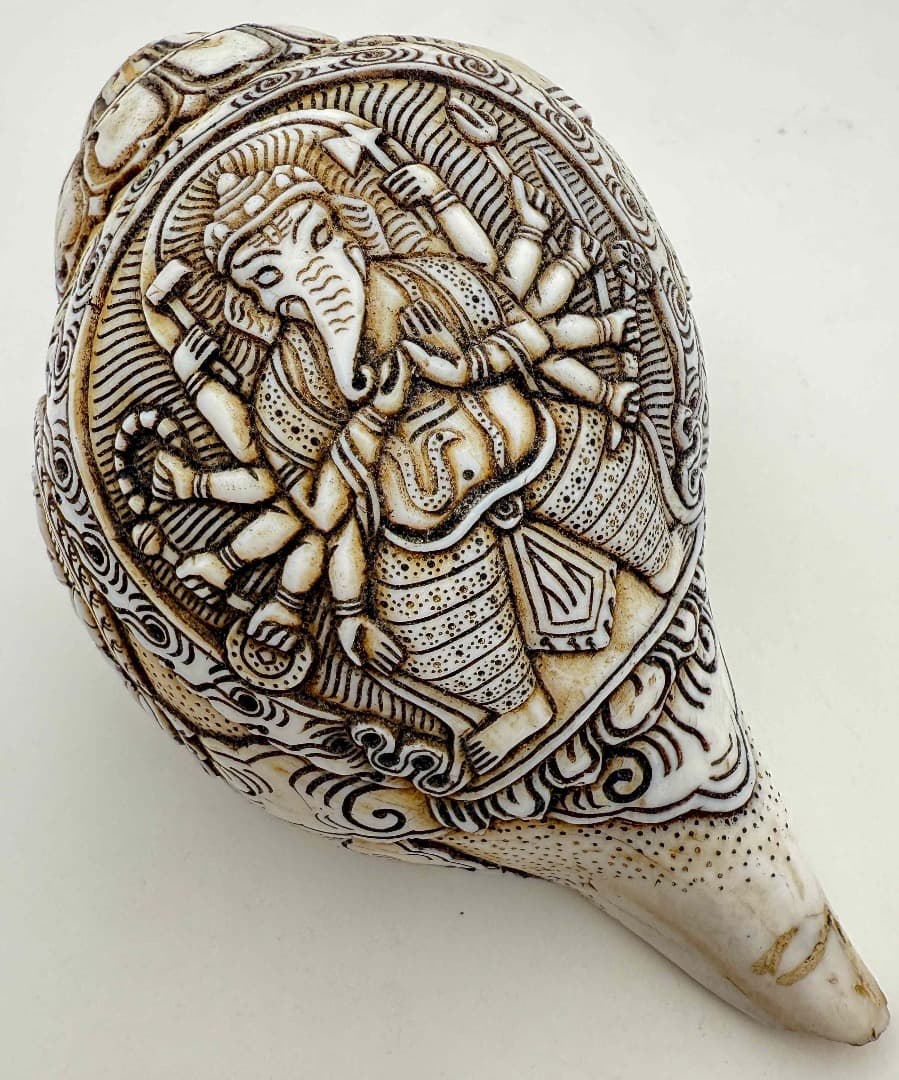 ◆チベット密教法具　法螺貝（シャンカ）ーガネーシャ-3