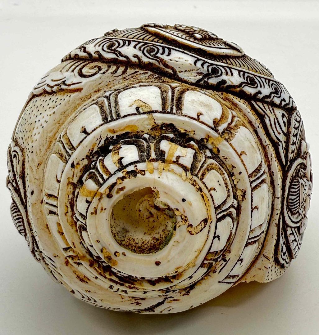 ◆チベット密教法具　法螺貝（シャンカ）ーガネーシャ-3