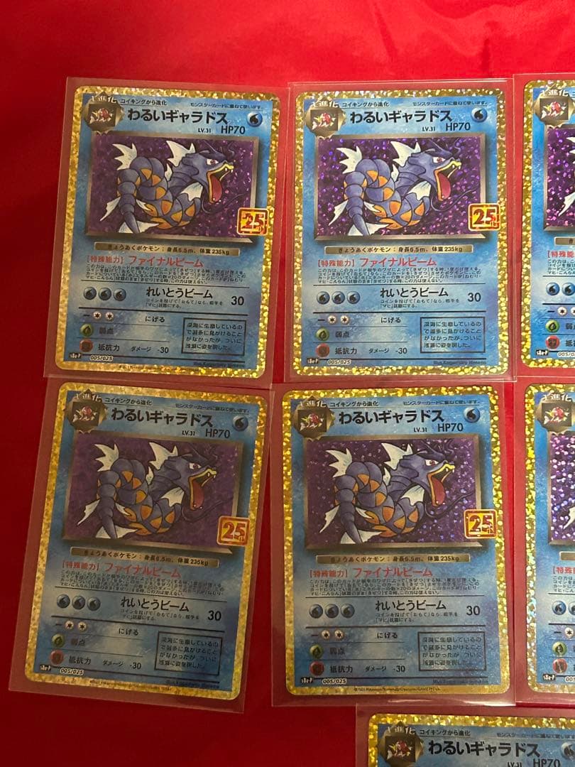 わるいギャラドス25th