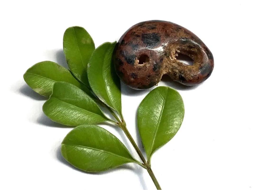 ✳時代鑑定済み鉄鏃と一緒に発掘　✳古墳期超希少【さる玉】黒曜石勾玉‼️出土古墳期