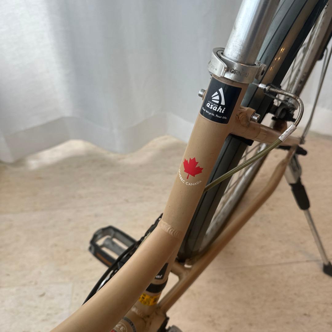 【直接引き取り価格】ルイガノ　シティーローム 8（370）マットアイスコーヒー