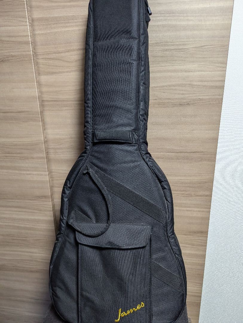 James J-800A オール単板 上位モデル エレアコ ケース付き