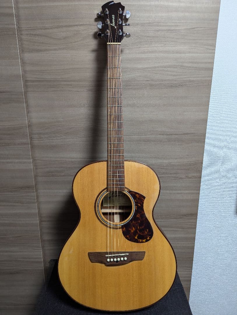 James J-800A オール単板 上位モデル エレアコ ケース付き