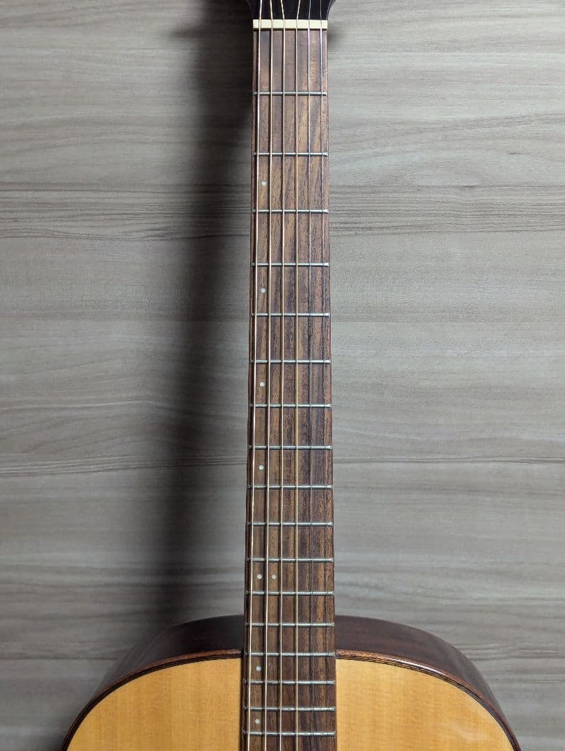 James J-800A オール単板 上位モデル エレアコ ケース付き