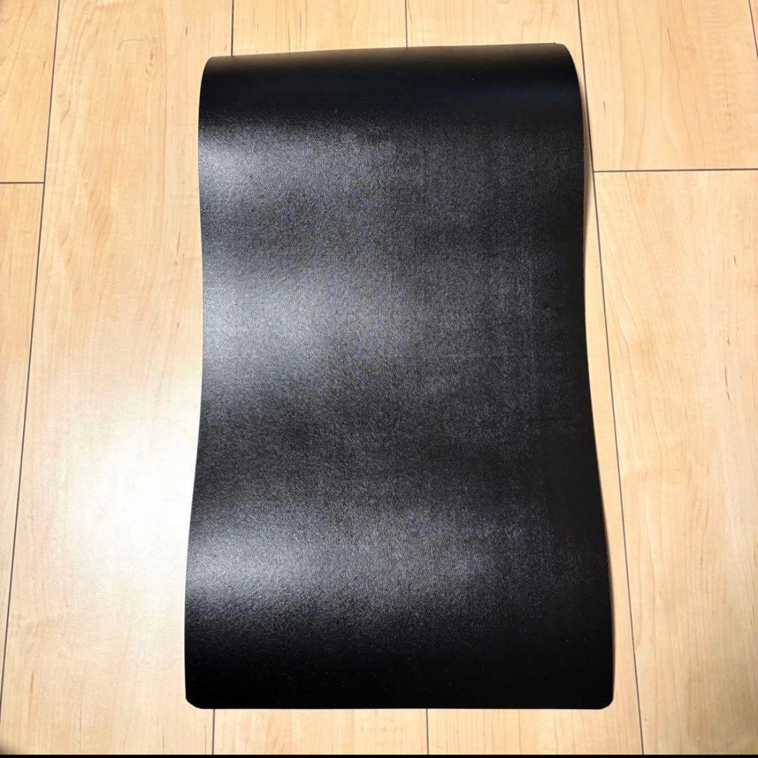 【新品】PHENIX フェニックス ボストンバッグ スポーツ スノボ スキー希少