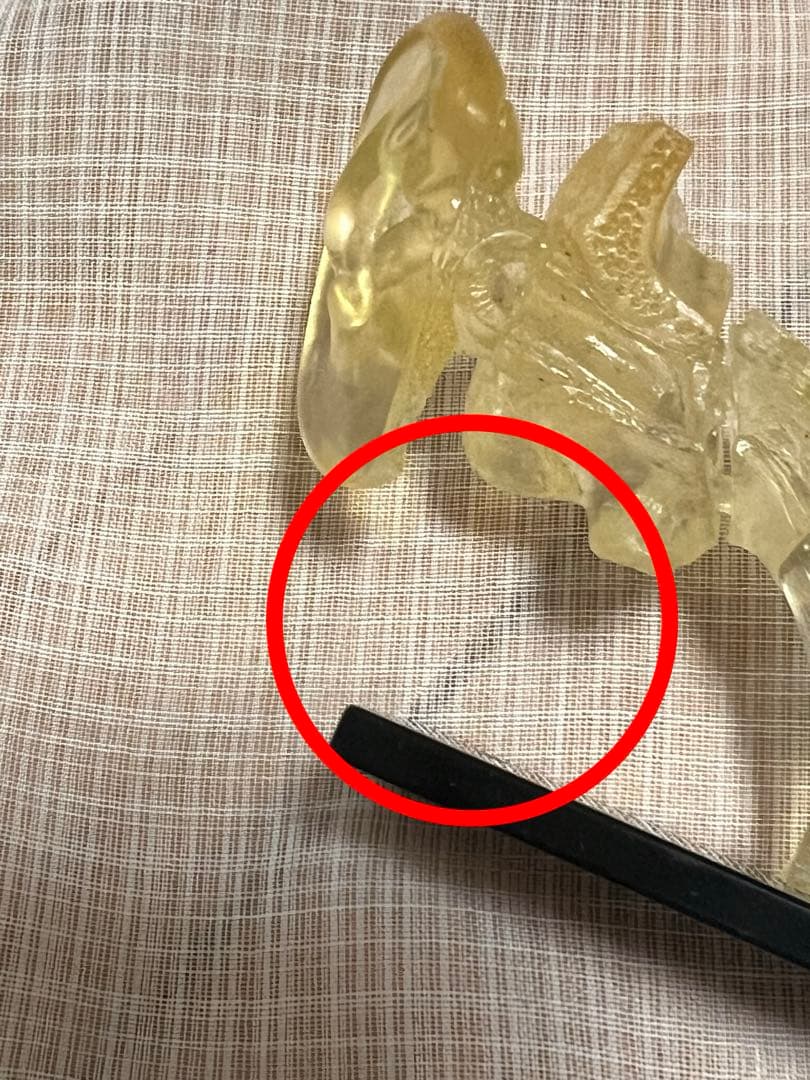 YUJIN 原色人体解剖図鑑/他1種含む14種15個セット