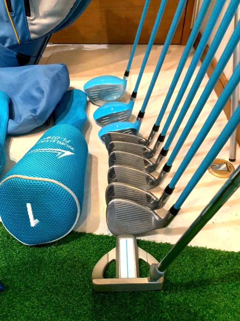 豪華　レディースゴルフクラブ 本格フルセット　ワールドイーグル　プロ推進　優しい