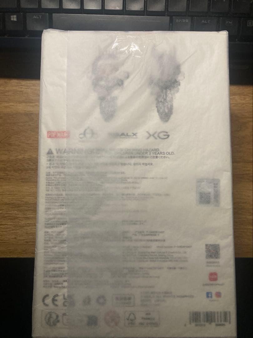 SKULLPANDA スカルパンダ XG 日本限定 popmart