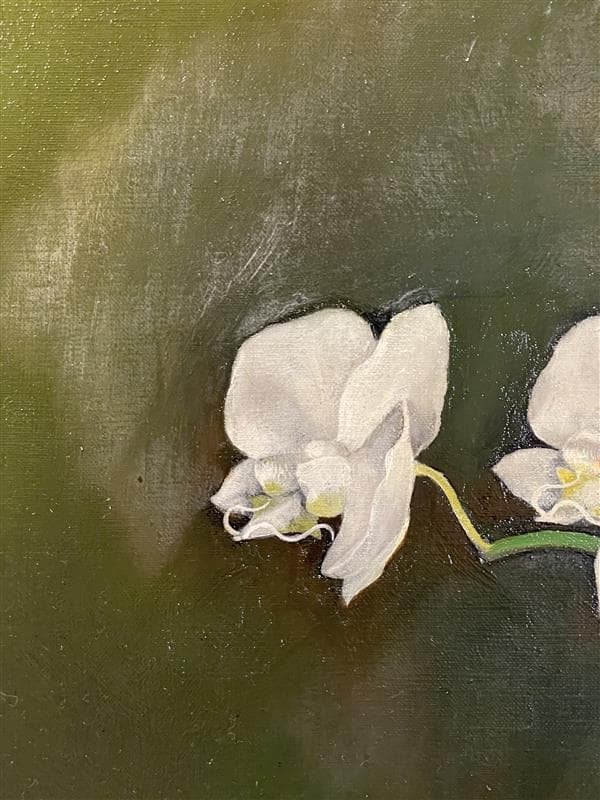 「真作」田中圭三『花の衣』静物画　油彩画　額装　サイン有り　F10号