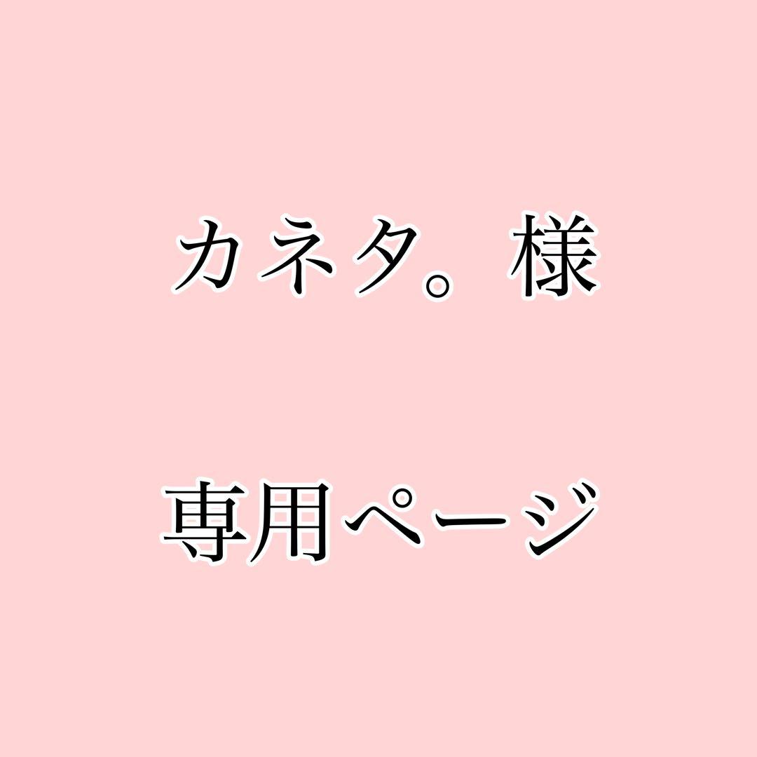カネタ。ページ
