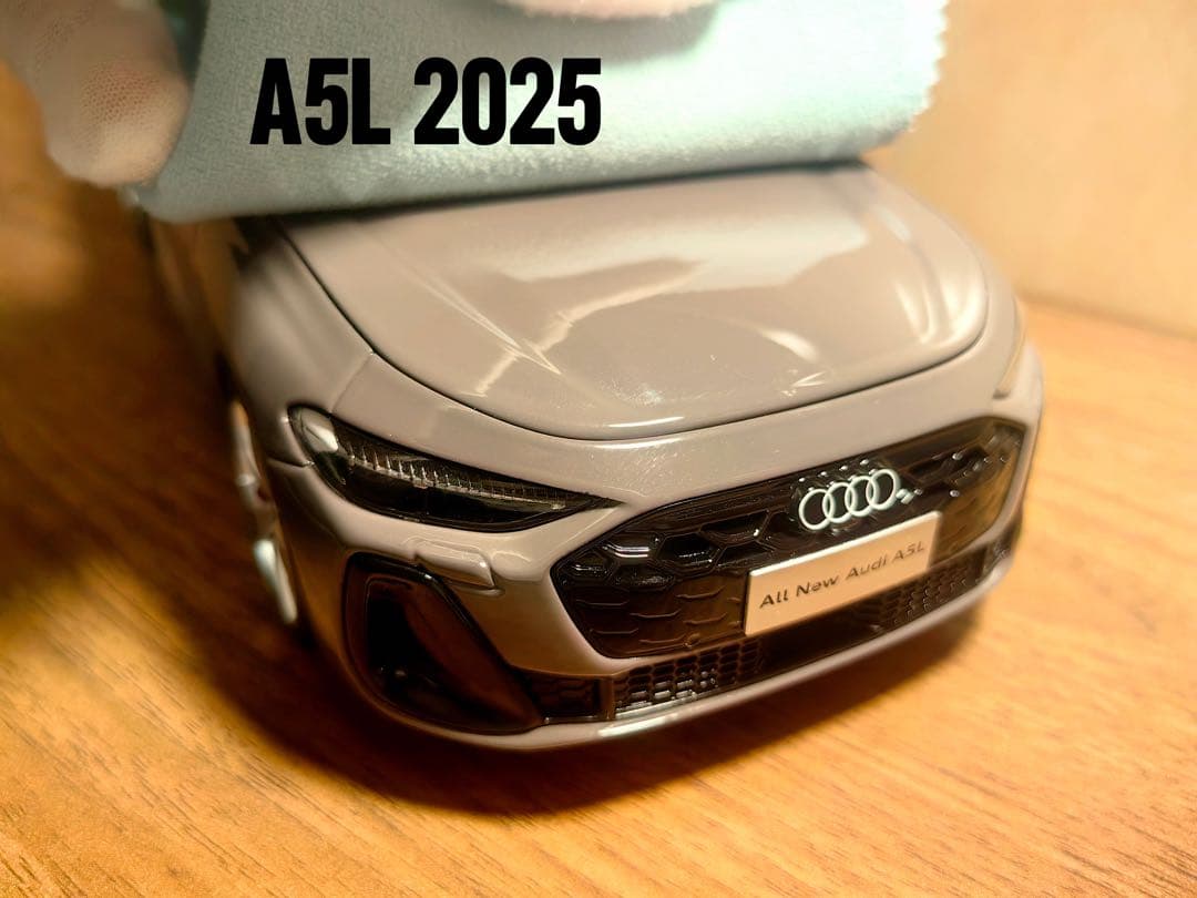 h*i様 [日本未売品・希少輸入品] 1/18 アウディA5 最新型 ディーラー