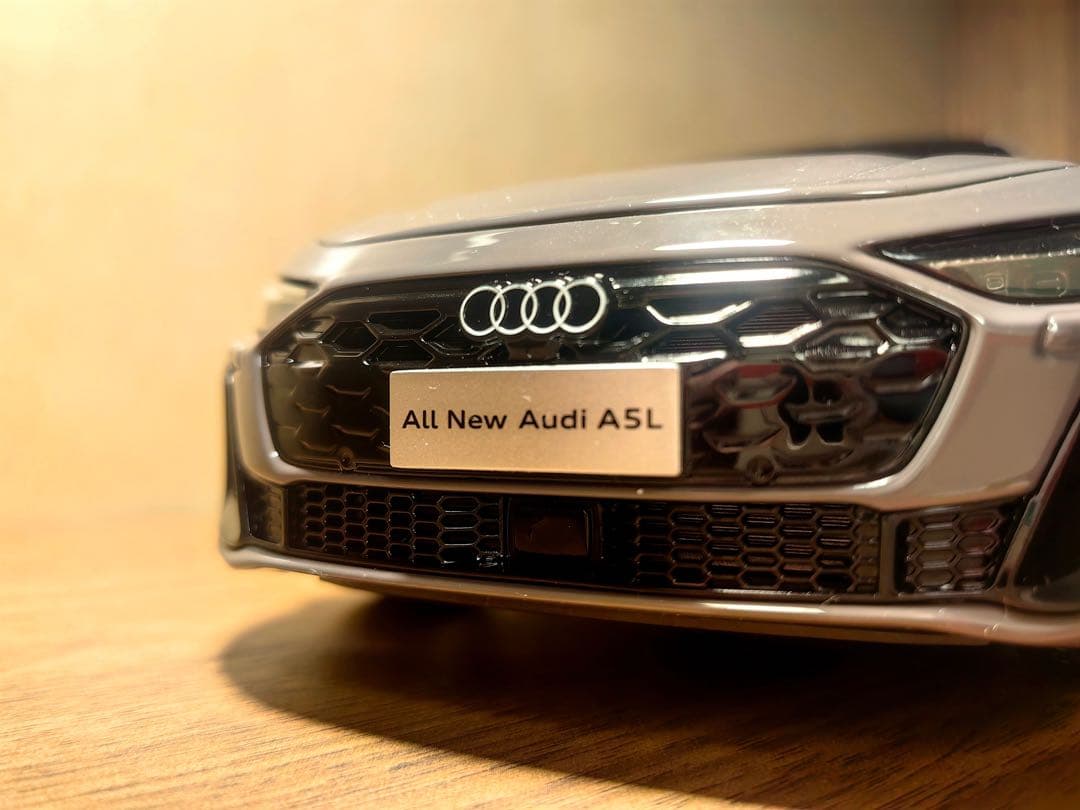 h*i様 [日本未売品・希少輸入品] 1/18 アウディA5 最新型 ディーラー