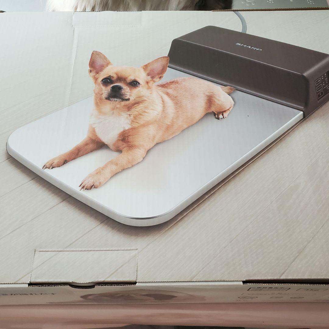 新品、未使用　犬 猫 ペット用　冷暖房　プレート　PL-PT40D-T シャープ