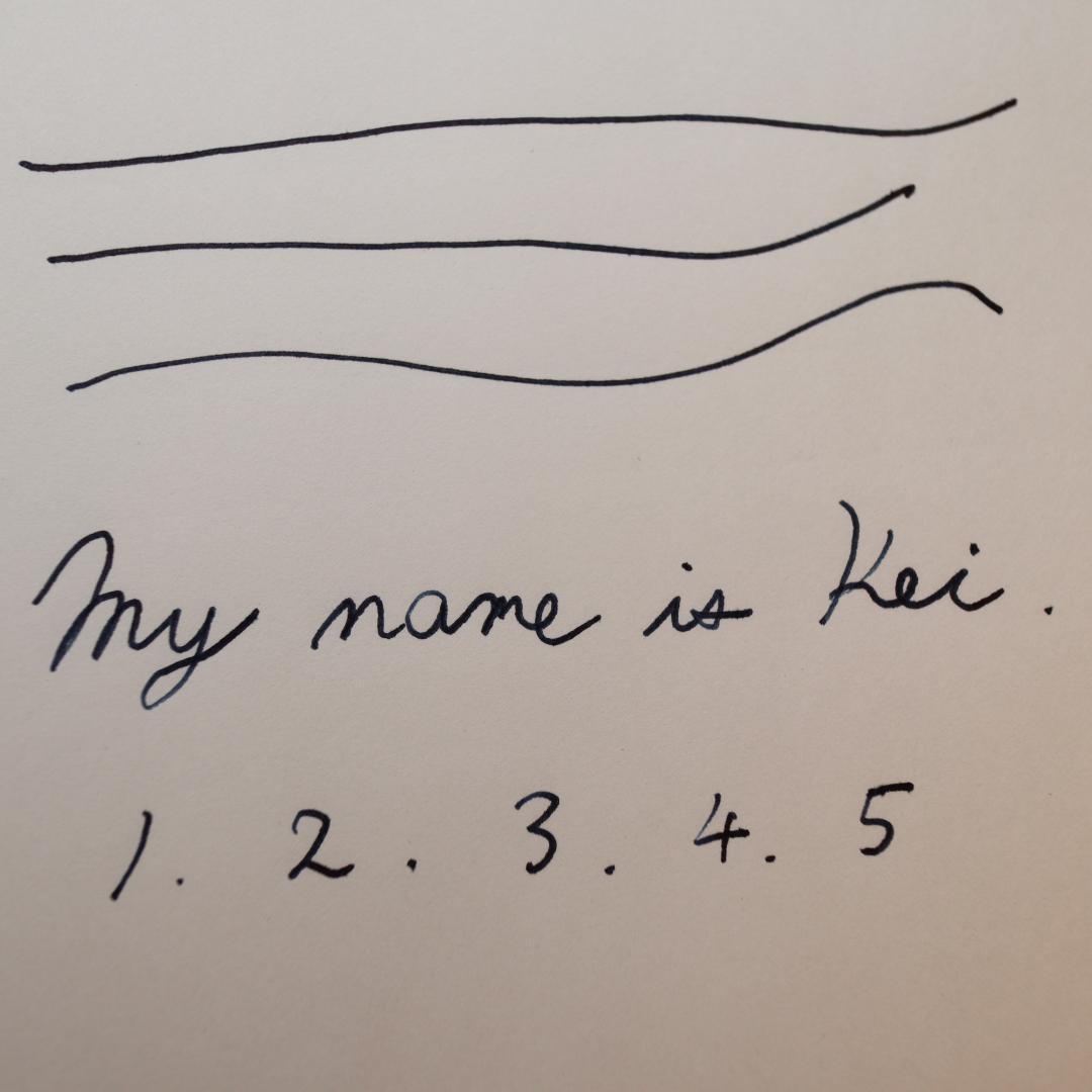 【廃番品】セーラー万年筆 プロムナード　太字　14K　DIMEのBEAMS万年筆