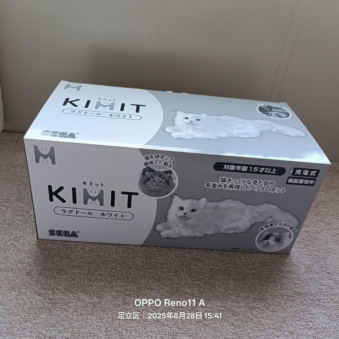 KIMIT ラグドール(ホワイト)