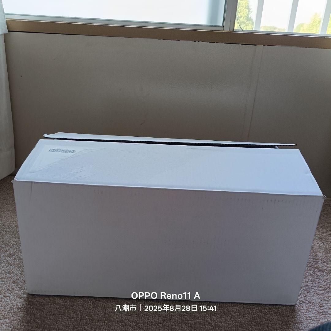 KIMIT ラグドール(ホワイト)