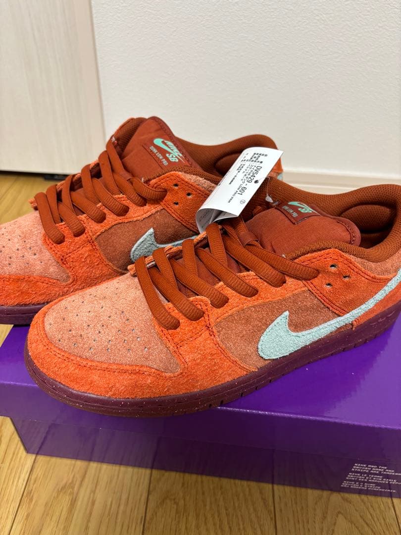 スケートボード NikeSB Dunk Low