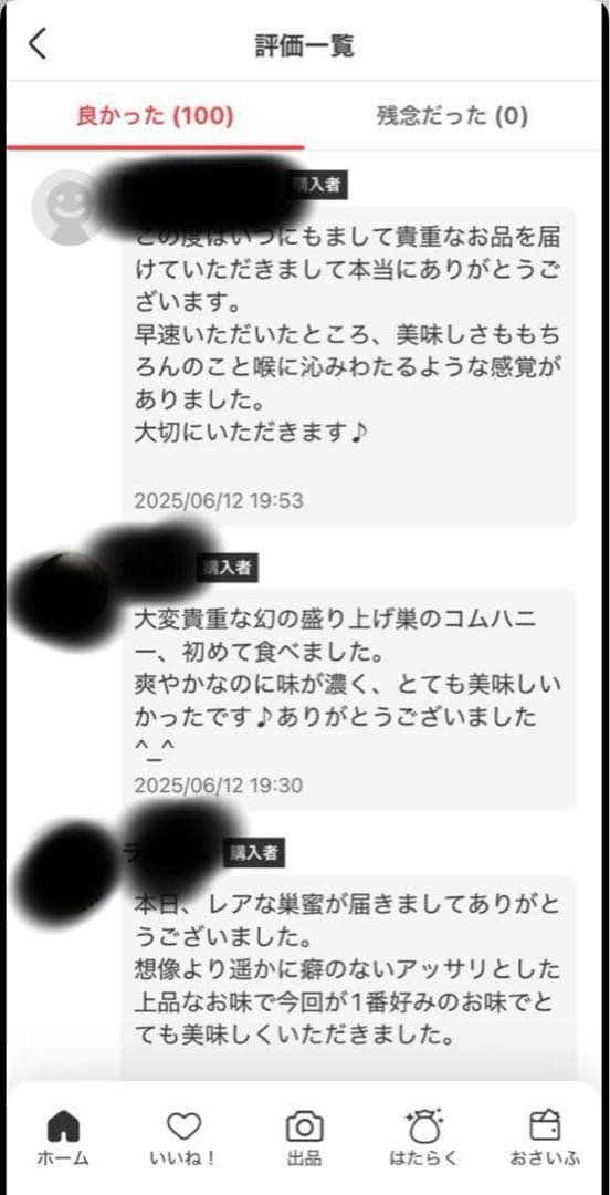 りなんてぃー 日本ミツバチ とろとろはちみつ+コムハニー 無添加抗生物質無
