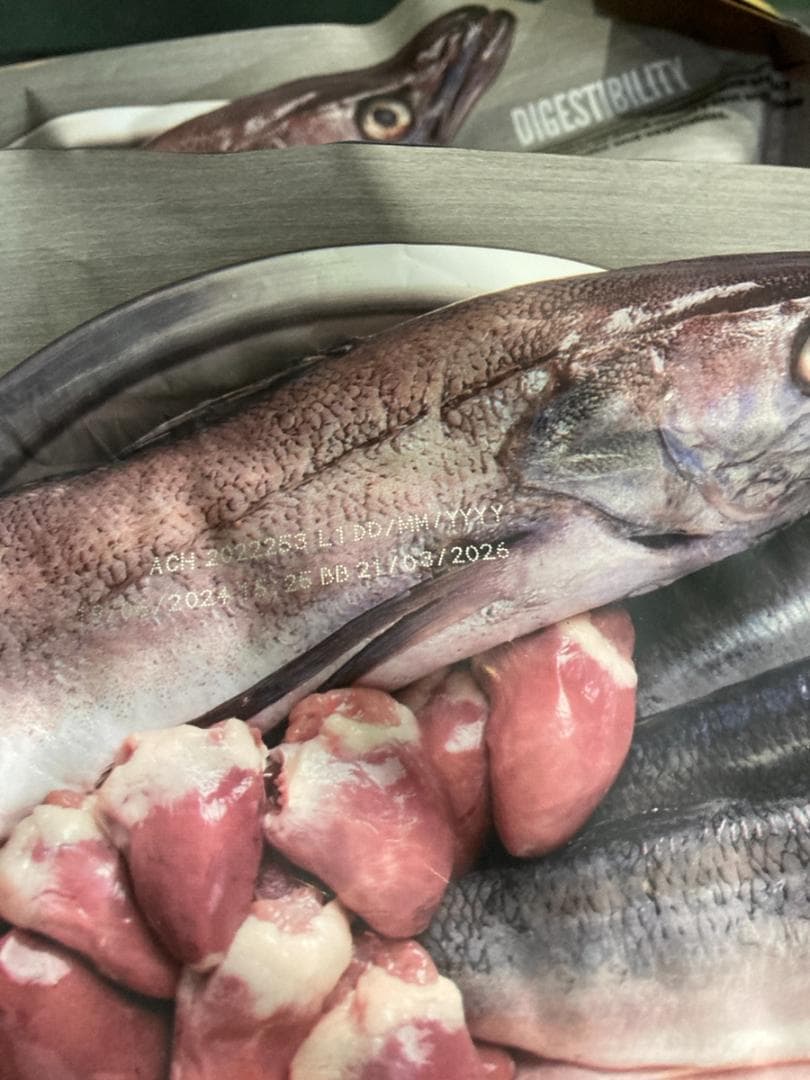 正規品カナダ産 オリジン オリジナルキャット 5.4kg キャットフード