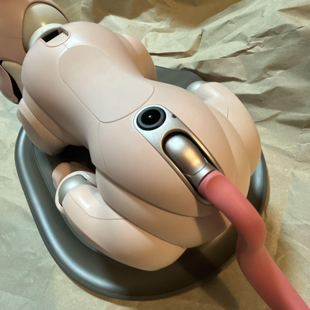 aibo 本体 いちごミルクエディション