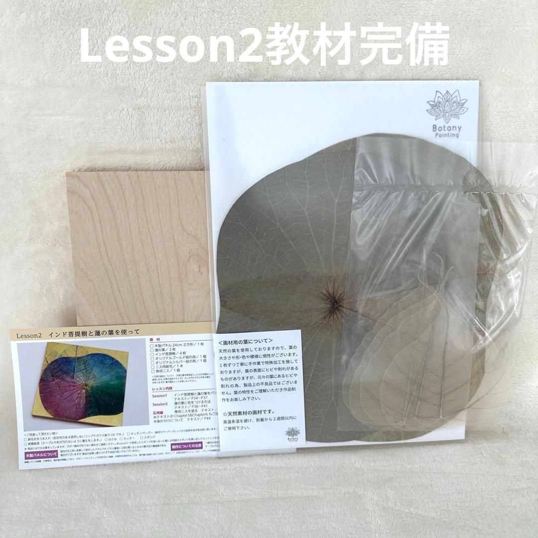 ボタニーペインティング　通信講座　全4回分セット　菩提樹　蓮の葉　ボタニカル