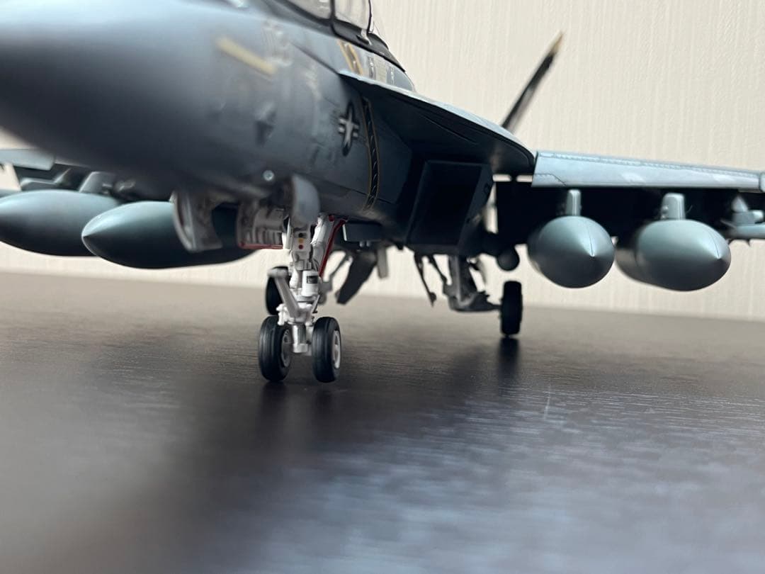 Hasegawa 1/48 F/A-18F SUPER HORNET 完成品