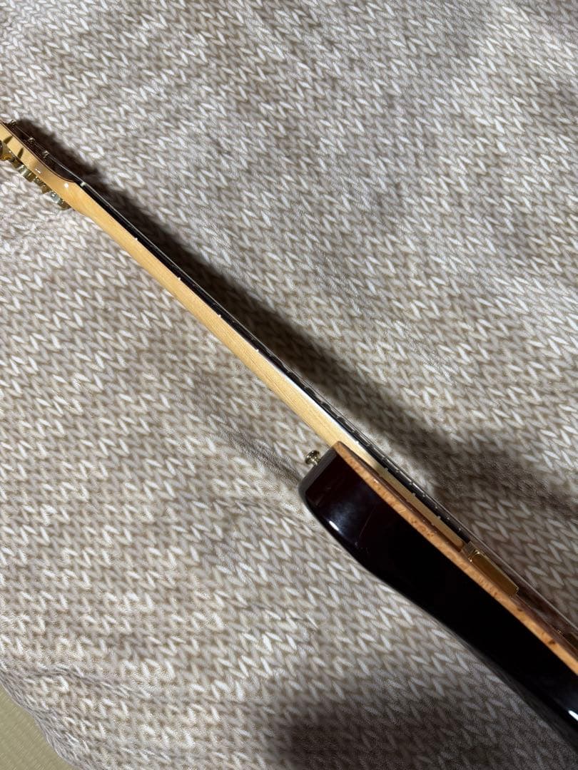 Sugi DH496IR BM-PRM/HM/ALD2P 紅葉