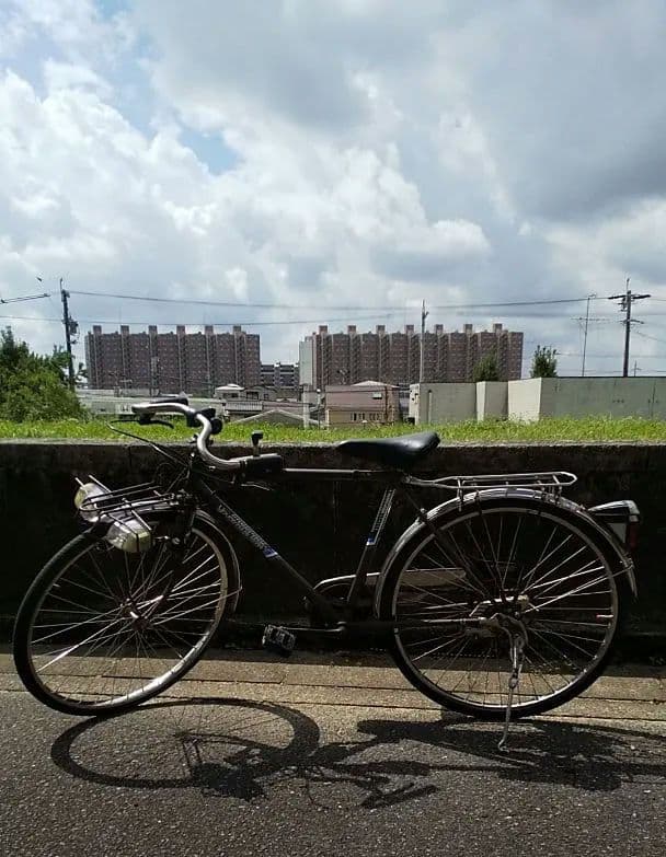 楽*い様 丸石　ヤングホリデー