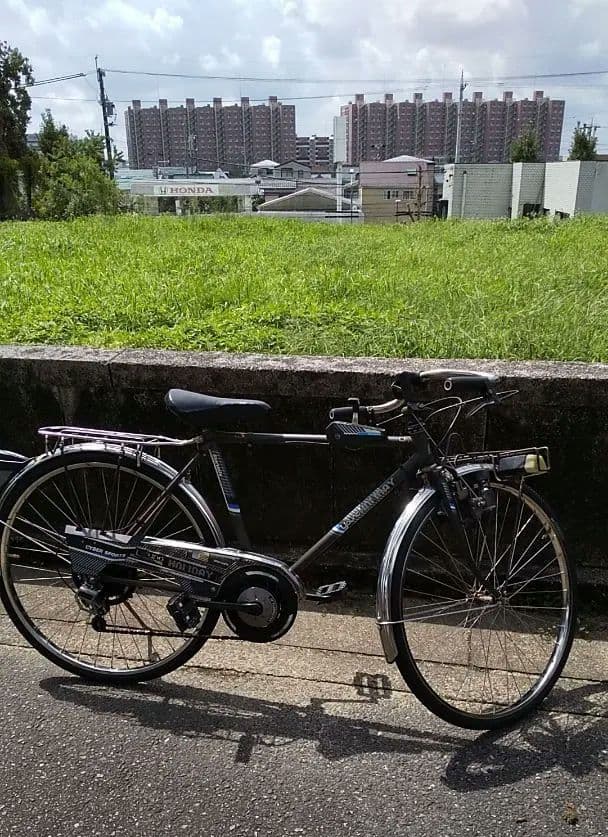 楽*い様 丸石　ヤングホリデー