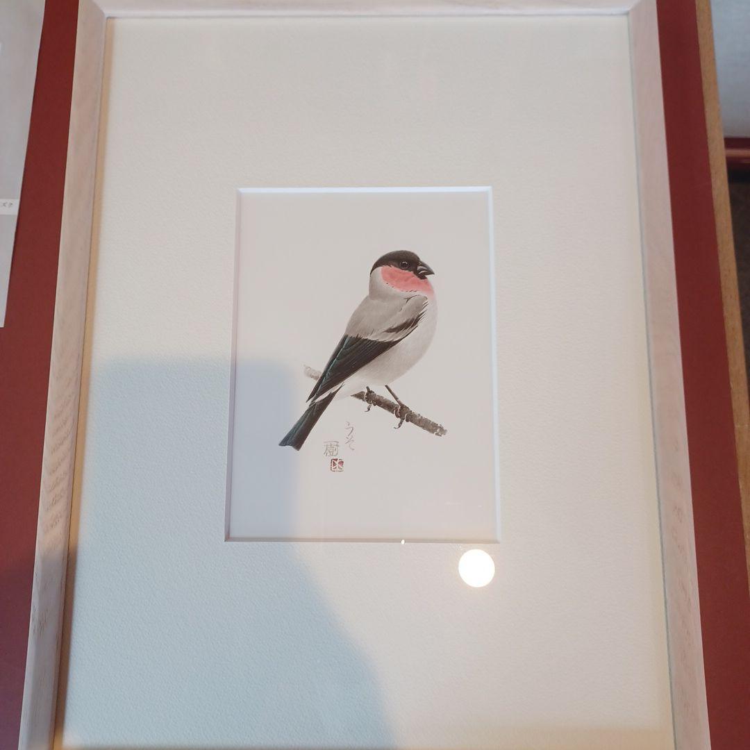 野鳥画家「木部一樹」アクリル画　うそ