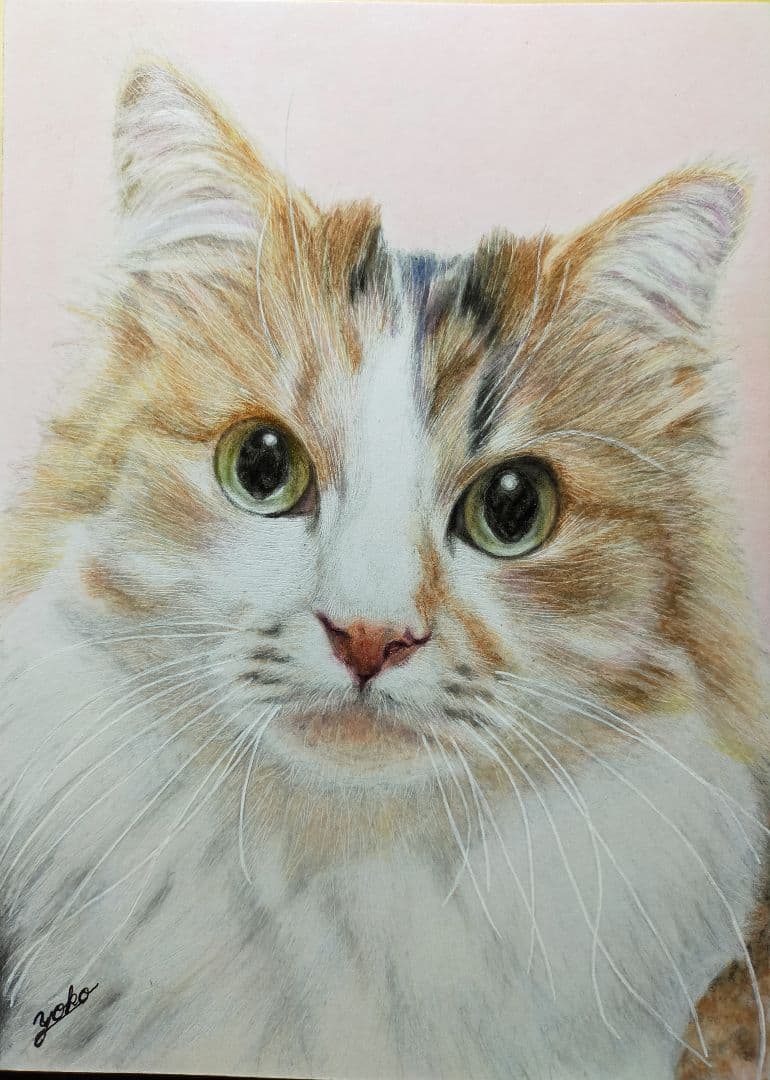 専用　色鉛筆画　絵画　原画　愛猫　似顔絵　オーダーページです