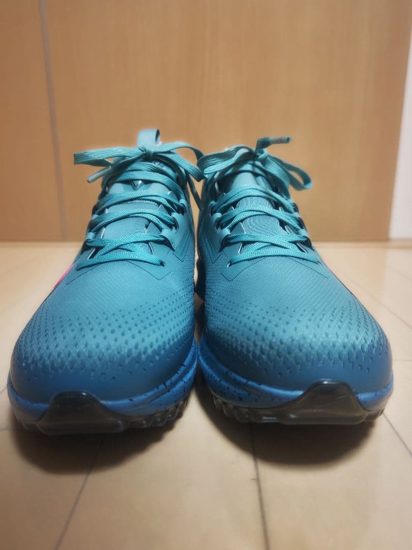 ナイキ インフィニティツアー2 ゴアテックス 28.5cm W