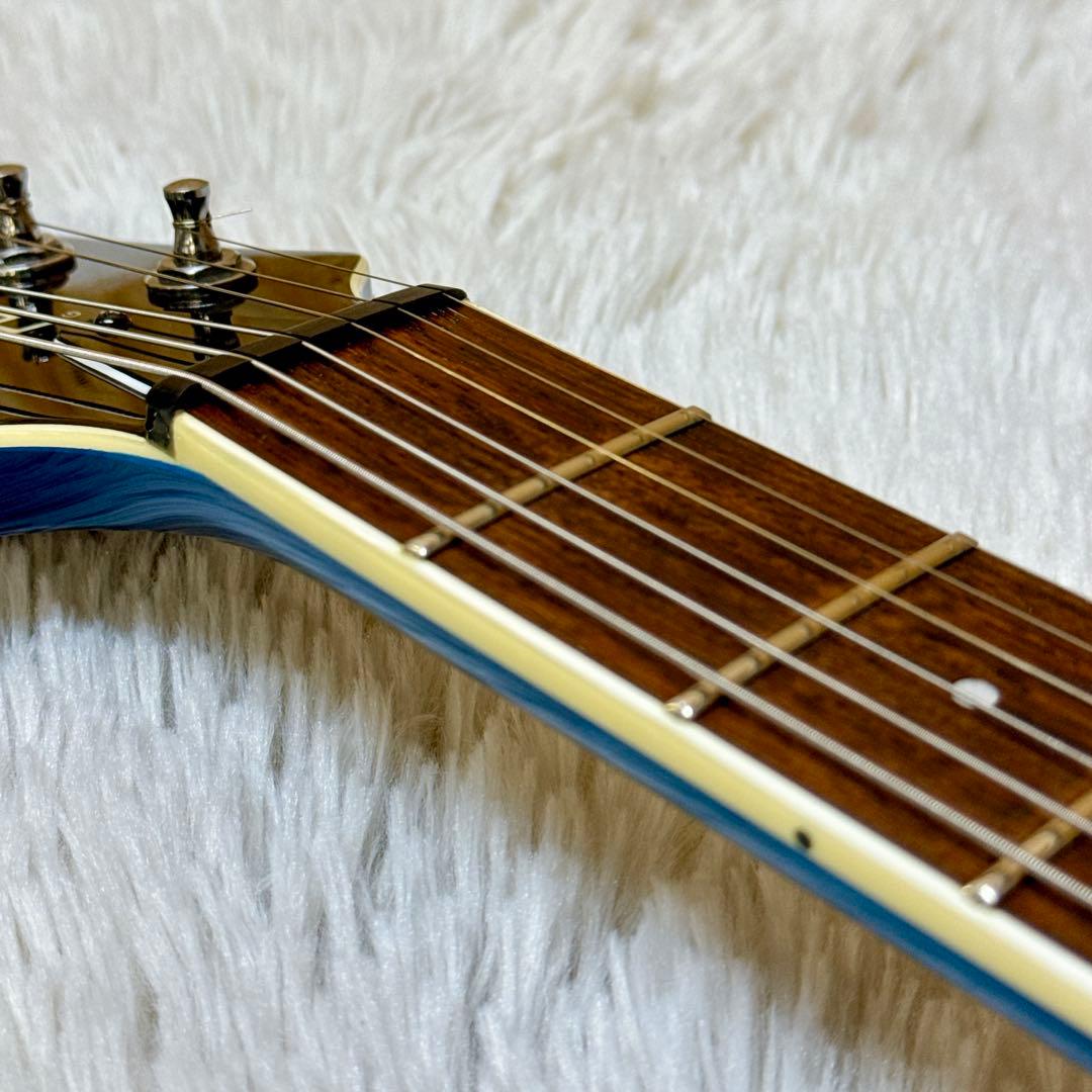 フレイムトップ！FERNANDES APG サスティナー搭載 ブルー 青