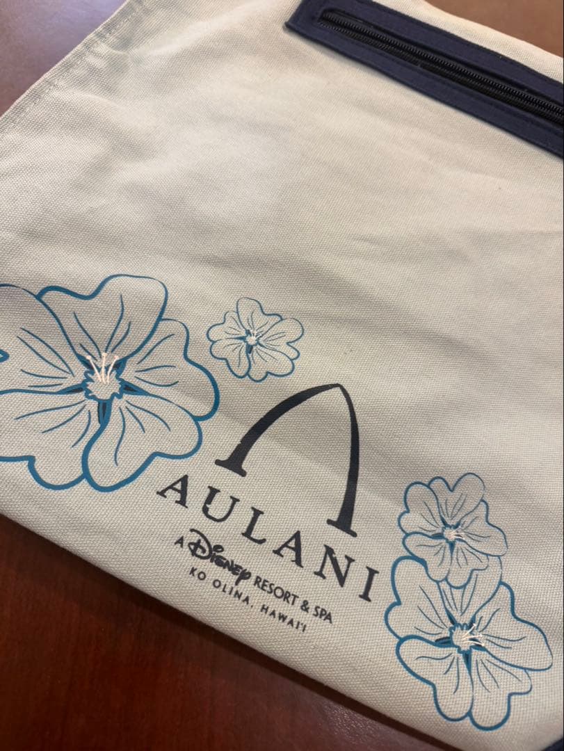 未使用に近い　アウラニ限定　ミニーマウス ハンドバック