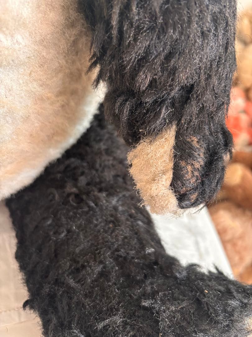 R　Bigサイズパンダベア　ヴィンテージベア　アンティークベア　DDR