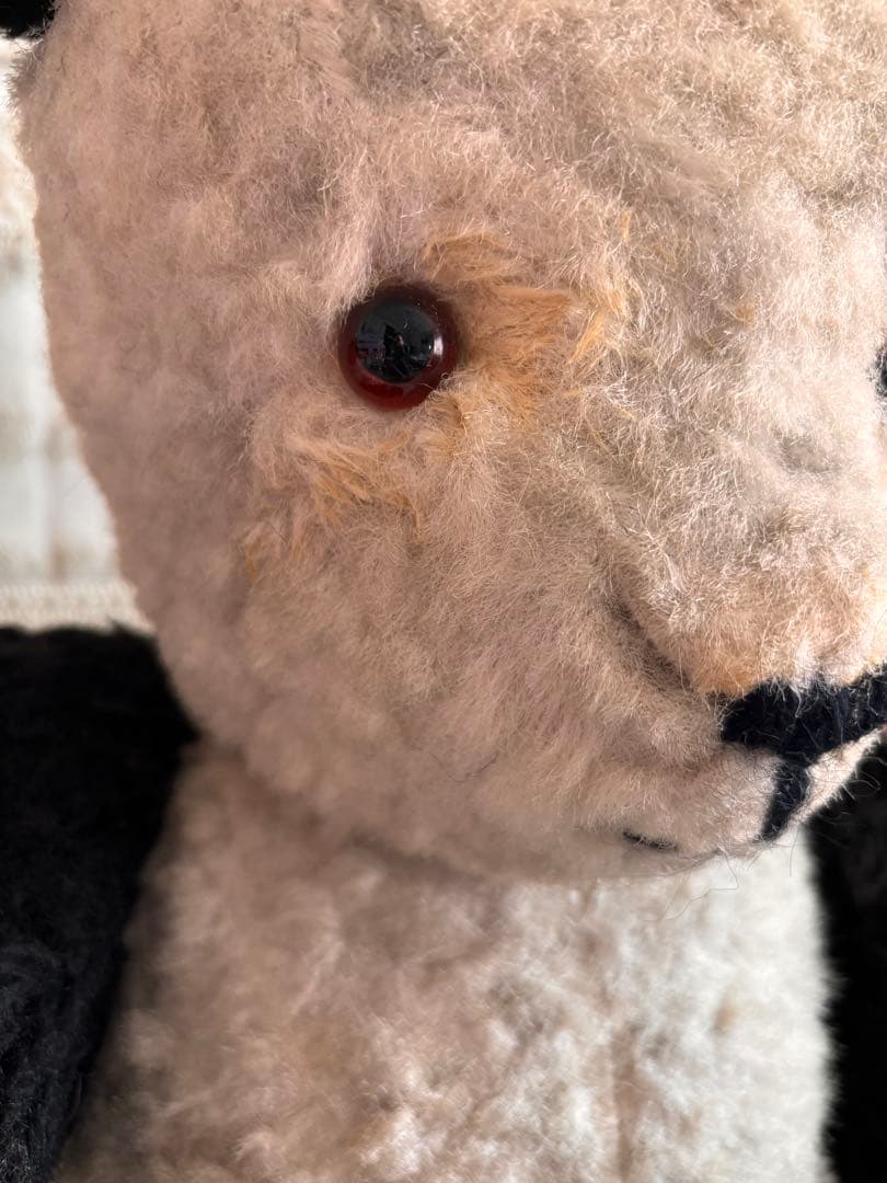 R　Bigサイズパンダベア　ヴィンテージベア　アンティークベア　DDR