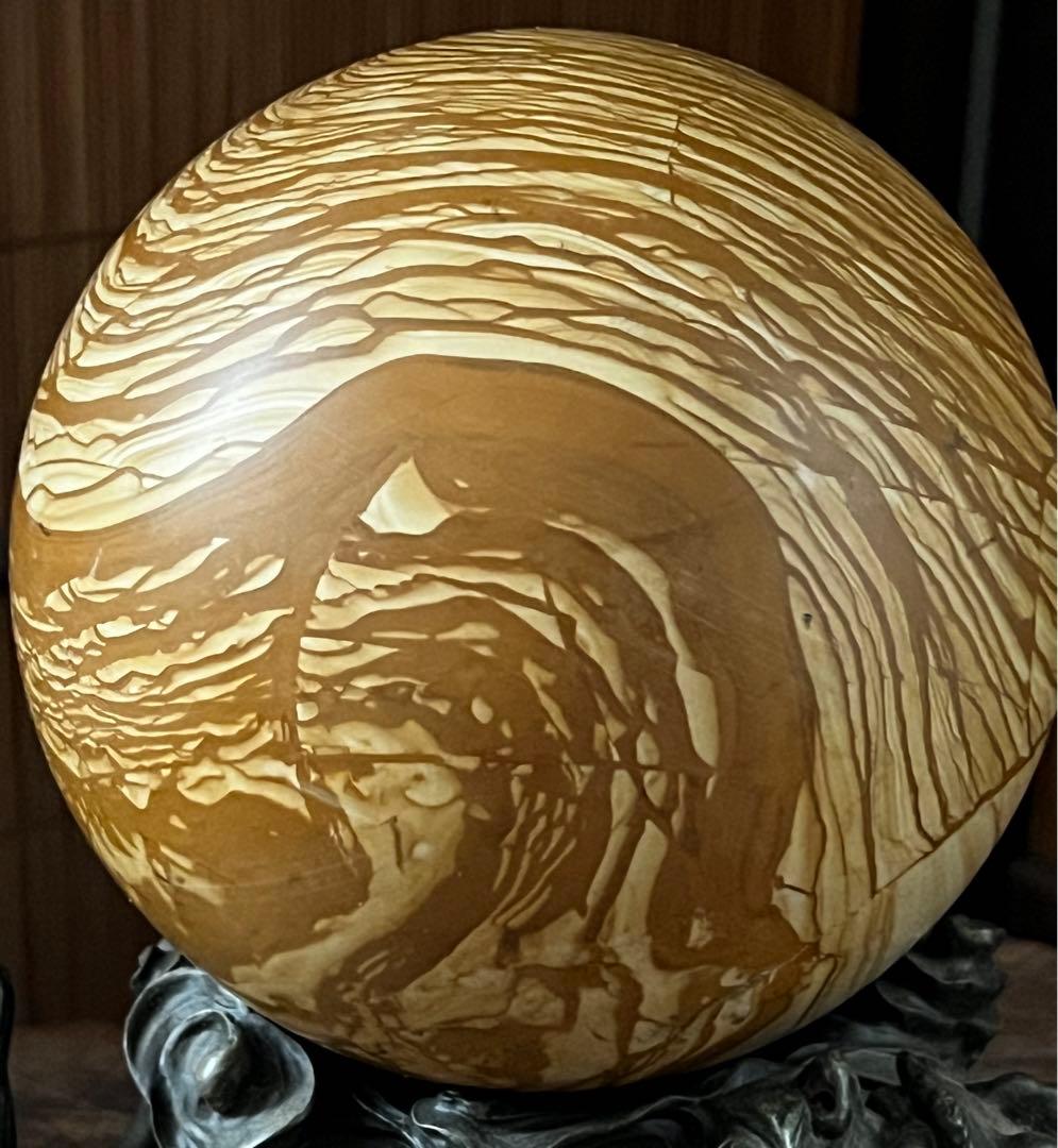 天然化石木 珪化木(けいかぼく) ペトリファイドウッド マダガスカル産 鑑別書