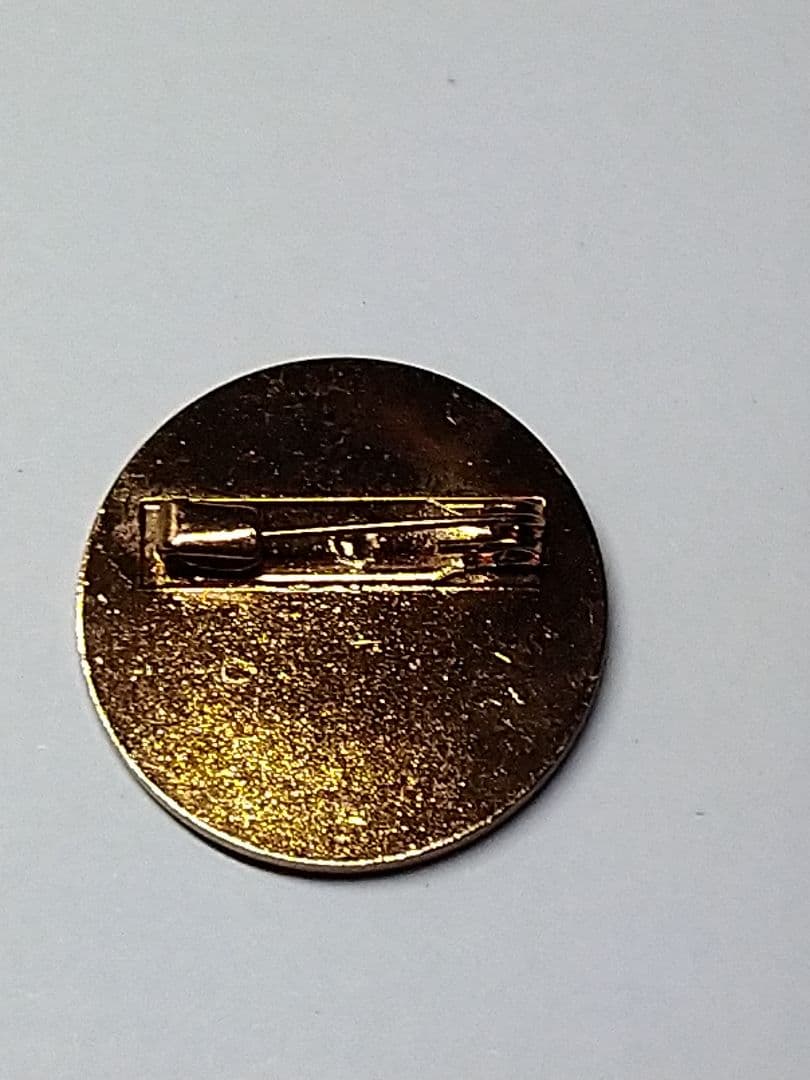 ポケモンリーグ　レインボーバッジ　※バッジのみ