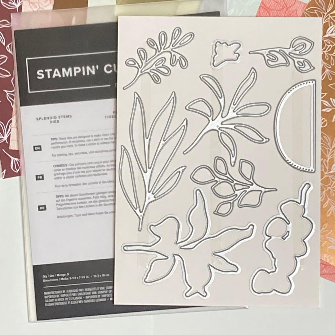 スタンピンアップ splendid thoughts