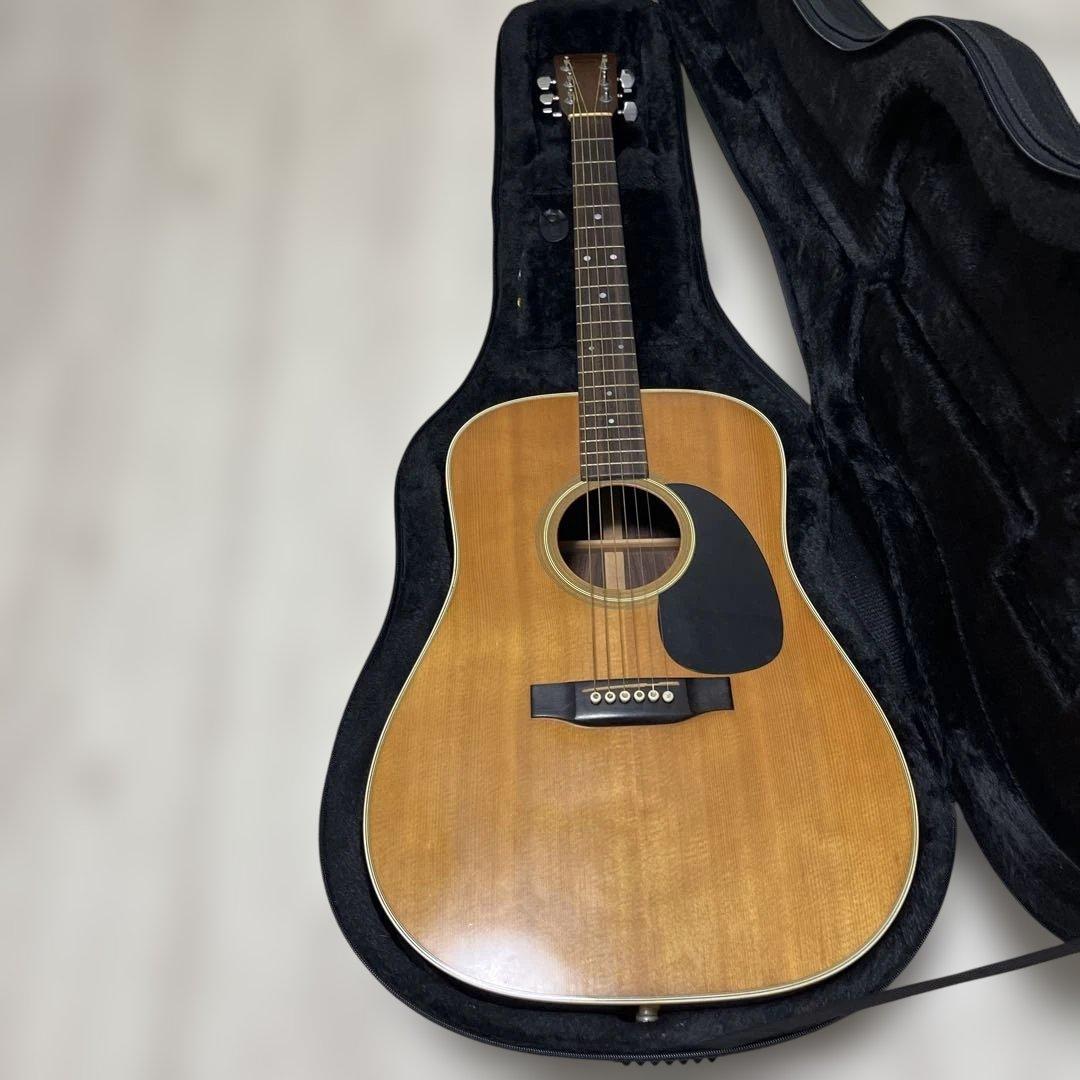 Martin & Co. アコースティックギター