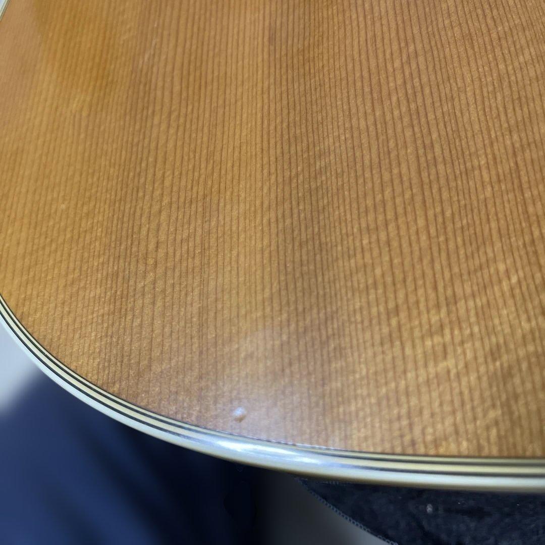 Martin & Co. アコースティックギター