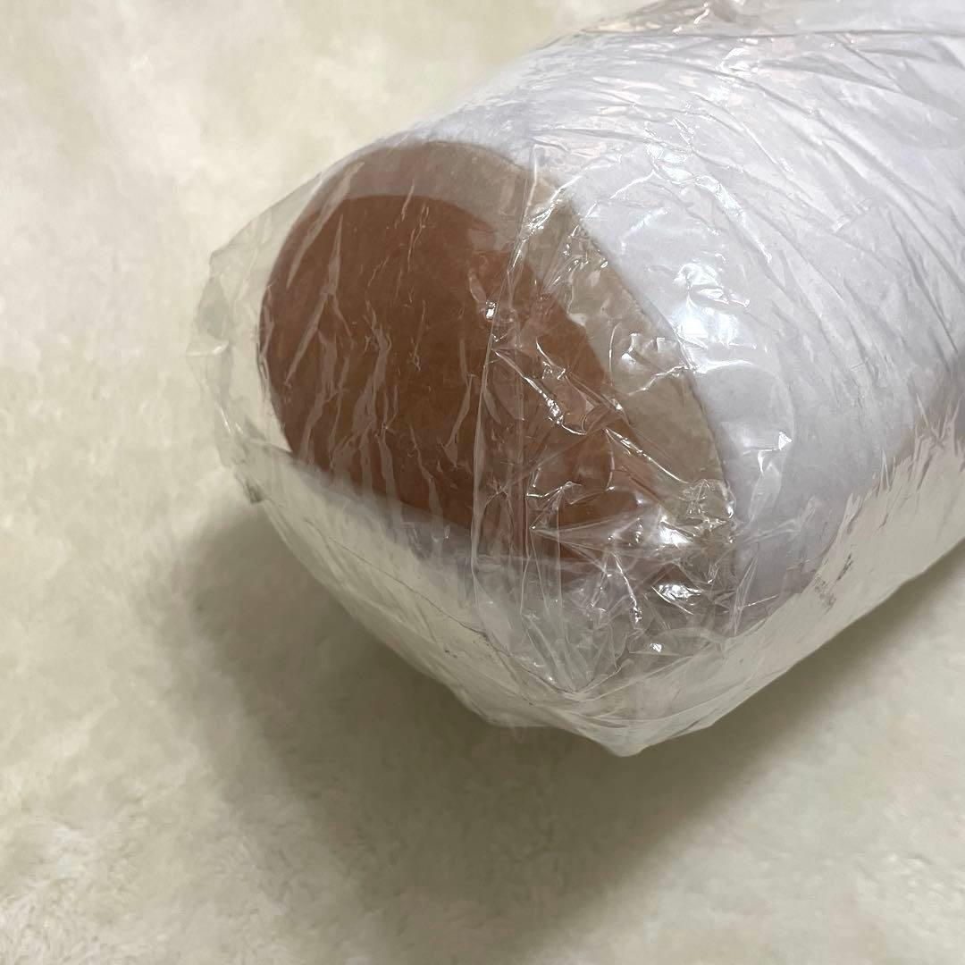 希少　新品未使用　カモネギ三葱隊ものがたり カモネギ（ガラルのすがた）のネギ