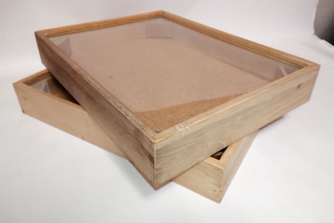 ①大型 標本箱 ドイツ箱 桐箱 展示ケース 観賞用 2個セット■蝶々 昆虫 図鑑