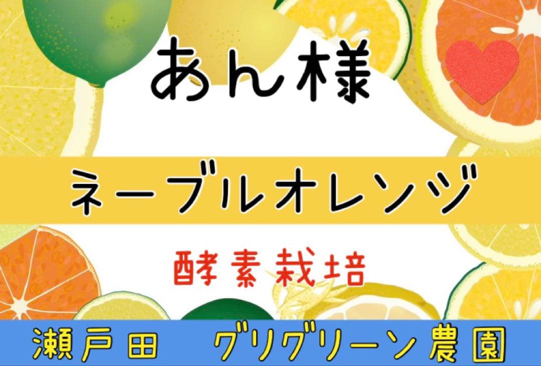 あん様♡酵素栽培　小粒ちゃん　ネーブル 瀬戸田　広島県　皮も食べて　農園直送5㌔