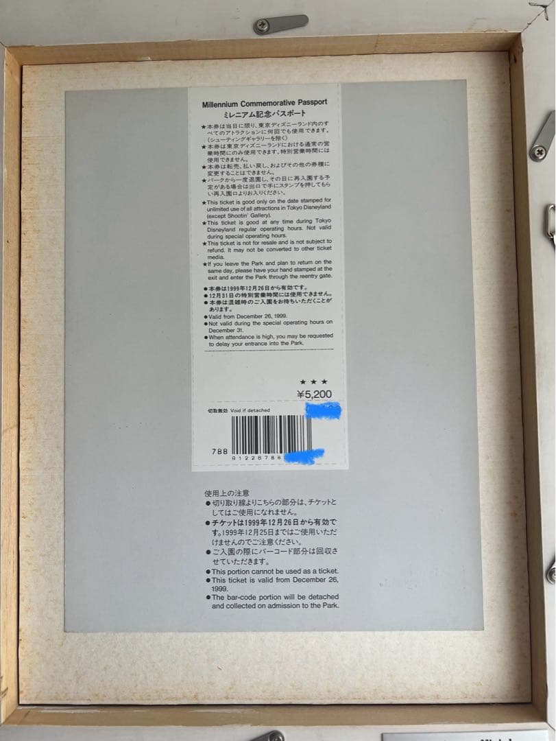 東京ディズニーランド　ミレニアム記念パスポート 額縁入　未使用　JCB