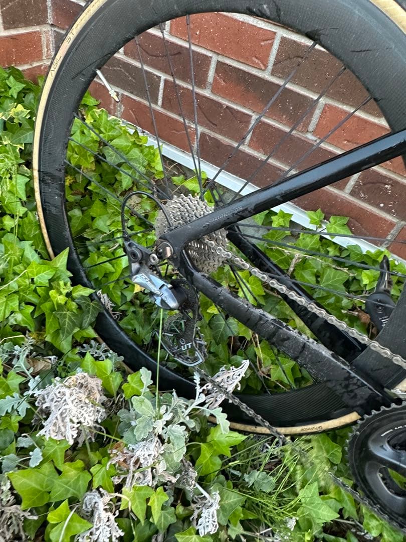 ELEVS FALATH PRO ファラスプロ　完成車